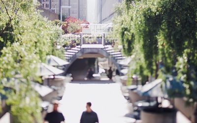 Nunc Volutpat Venenatis